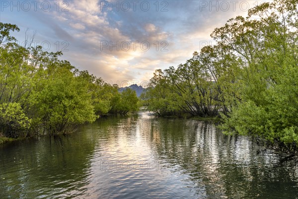 Trees reflected in the lake