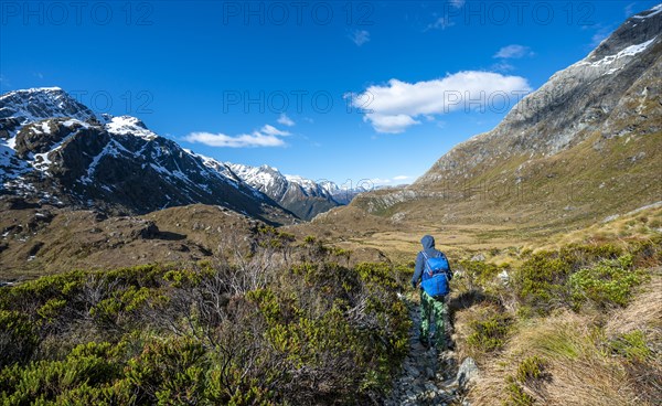 Hiker on the Routeburn Track