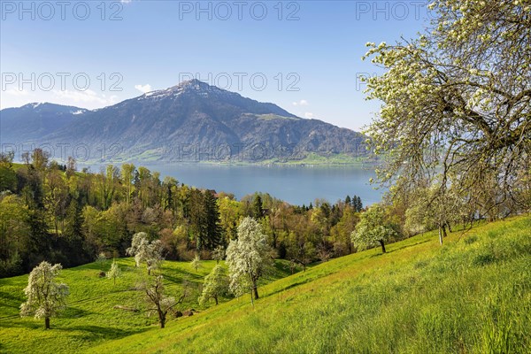View of Lake Zug and the Rigi