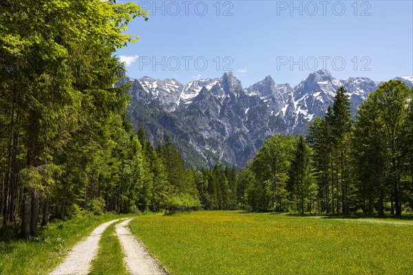 Hiking trail in Almtal