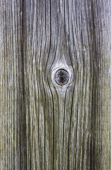 Weathered wood with knothole at an alpine hut