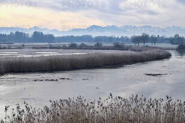 Stille Reuss Nature Reserve