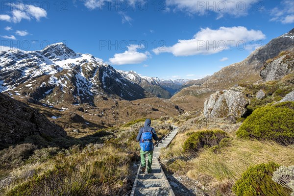 Hiker on the Routeburn Track