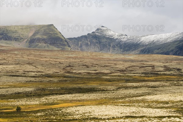 Barren landscape in autumn