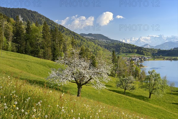 View of Morgarten at Lake Aegeri