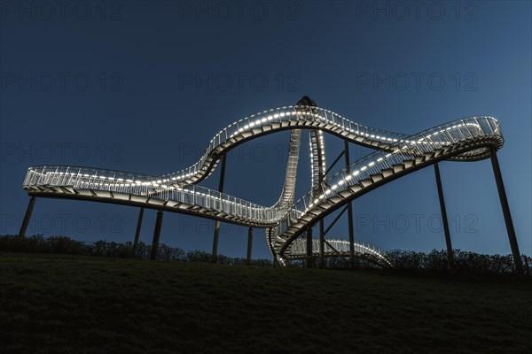 Tiger & Turtle