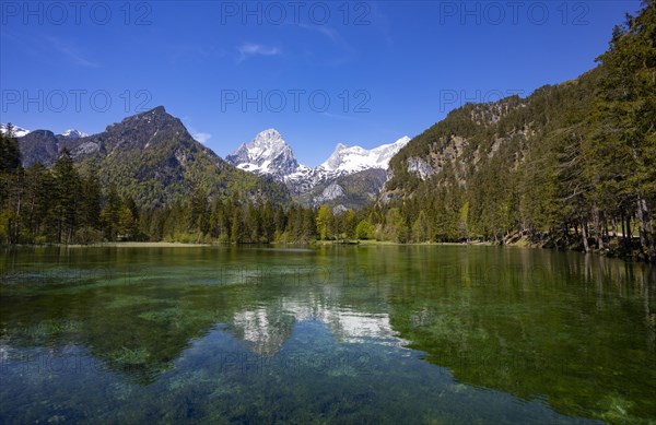 Schiederweiher