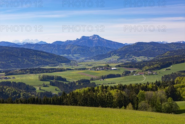 Panoramic view from Lichtenberg