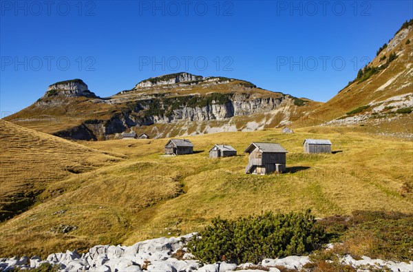 Braeuningalm on the Loser Plateau