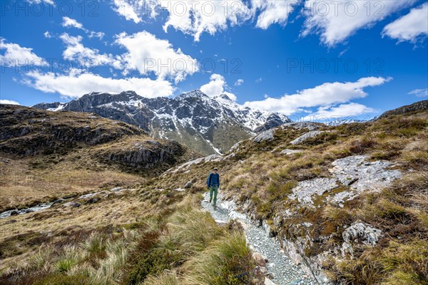 Hikers on the Routeburn Track