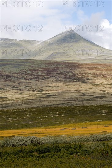 Barren landscape in autumn