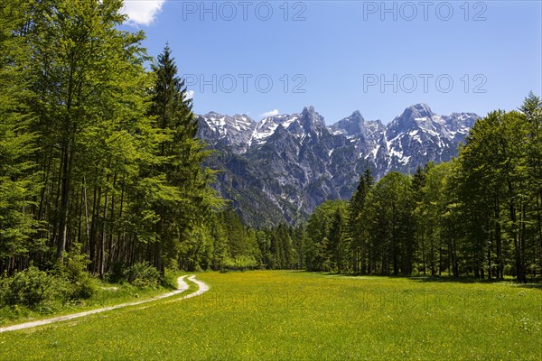 Hiking trail in Almtal