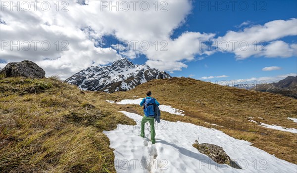 Hikers on the Routeburn Track