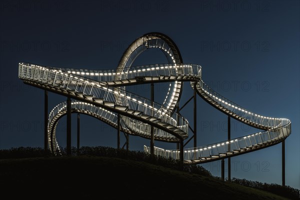 Tiger & Turtle