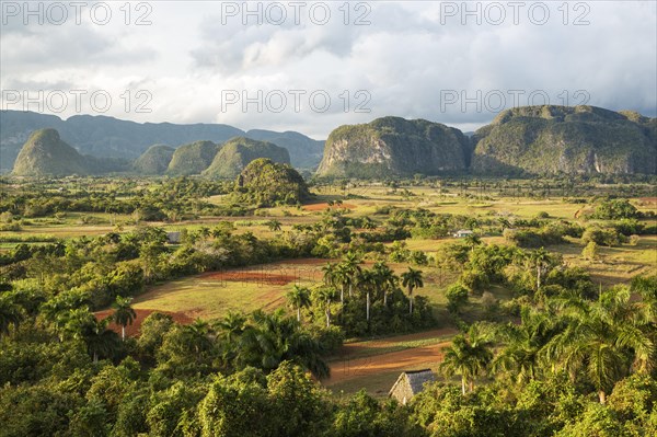 The Vinales valley with its rocky hills