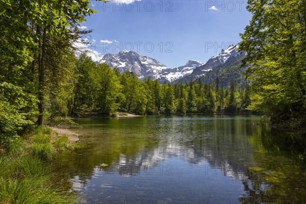 Kleiner Oedsee