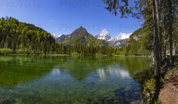 Schiederweiher