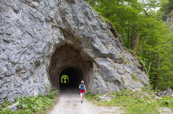 Hike from Rettenbachalm through Rettenbachtal to Blaa Alm