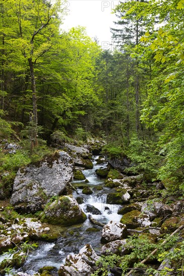 Hike from the Rettenbachalm through the Rettenbachtal to the Blaa Alm