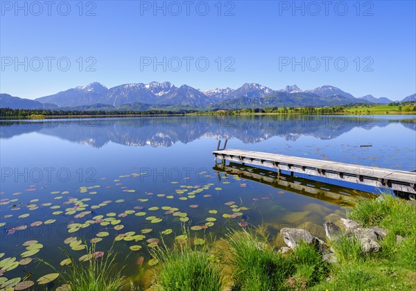 Footbridge in the lake