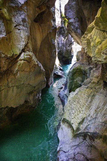 Dark Gorge