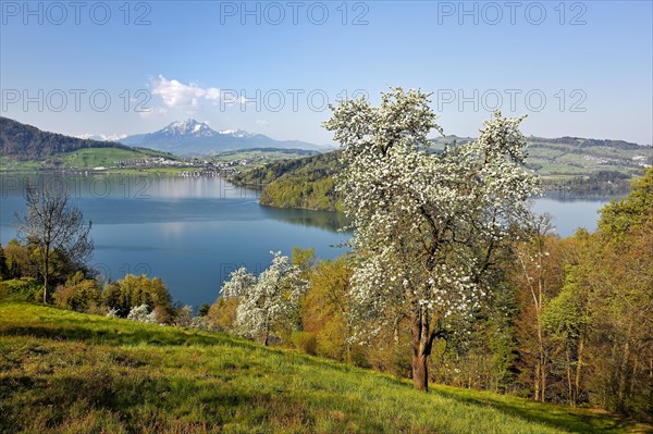 View of Lake Zug and Mount Pilatus