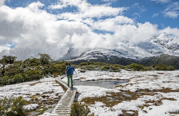 Hiker on Nature Trail