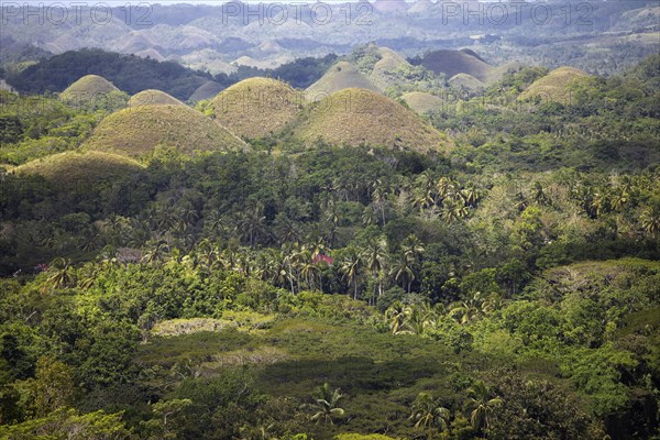 Chocolate Hills with residential house