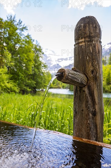 Holzbrunnen near the Grosser Oedsee