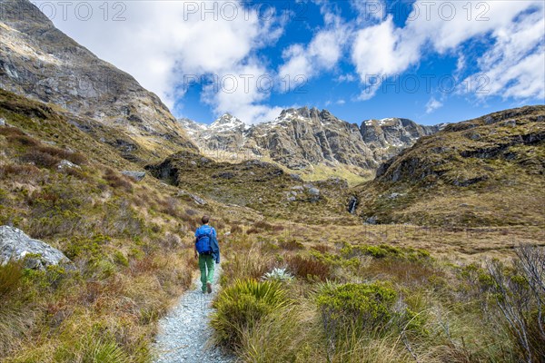 Hikers on the Routeburn Track