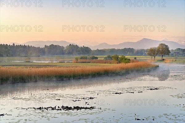 Stille Reuss Nature Reserve