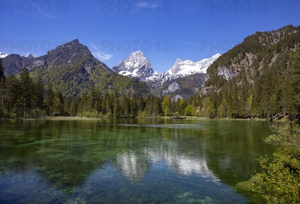 Schiederweiher