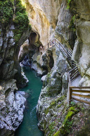 Climbing facility in the dark gorge