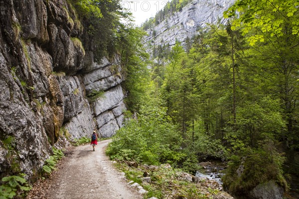 Hike from Rettenbachalm through Rettenbachtal to Blaa Alm