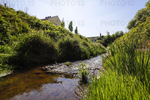 Renaturalised watercourse