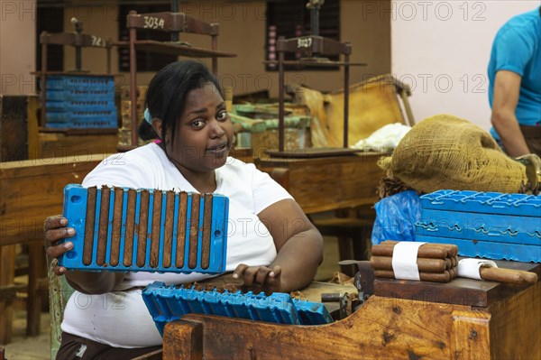 Worker shows cigars