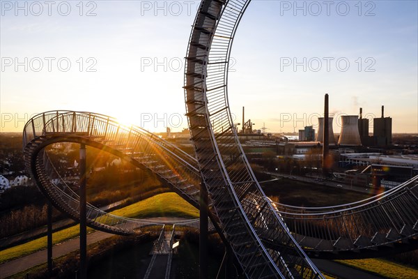 Tiger and Turtle