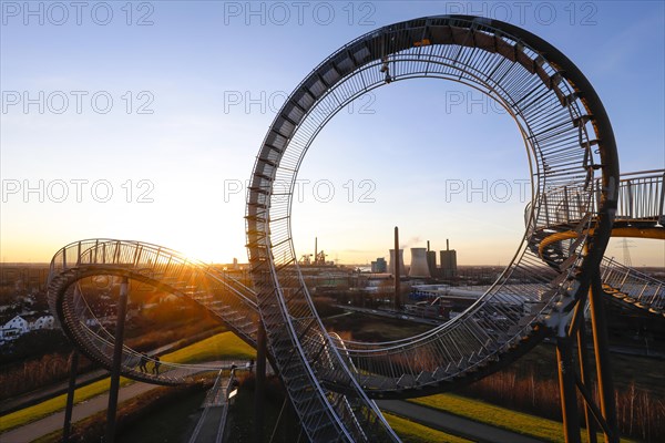 Tiger and Turtle