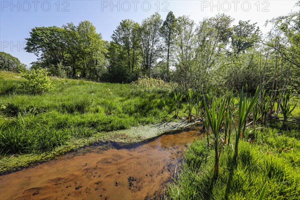 Renaturalised watercourse