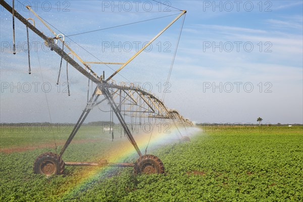 Irrigation system and rainbow