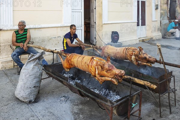 Roasting pigs in a pedestrian area of the town centre in order to subsequently sell meat portions to the public
