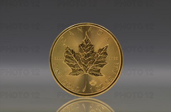 Canadian gold coin 1 ounce