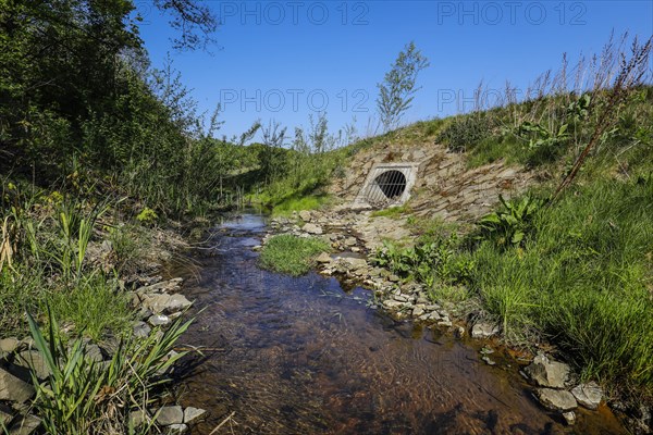 Renaturalised watercourse