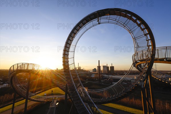 Tiger and Turtle