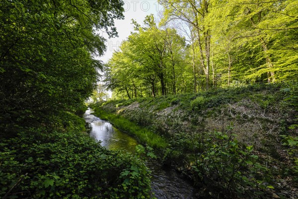 Renaturalised watercourse