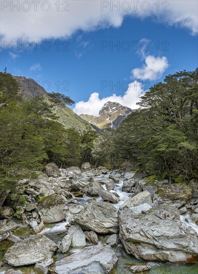 Mountain stream