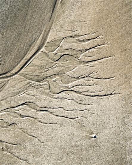Meandering pattern of run-off water in sand