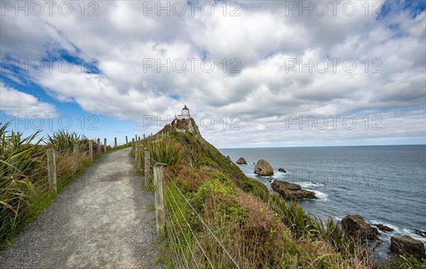 Way to the lighthouse at Nugget Point