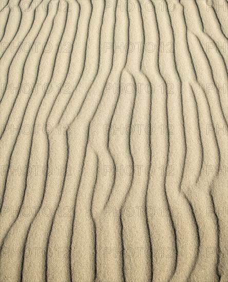 Wave patterns in light sand