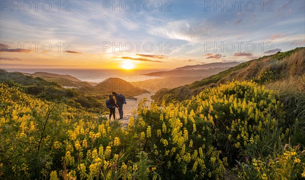 Pair at sunset